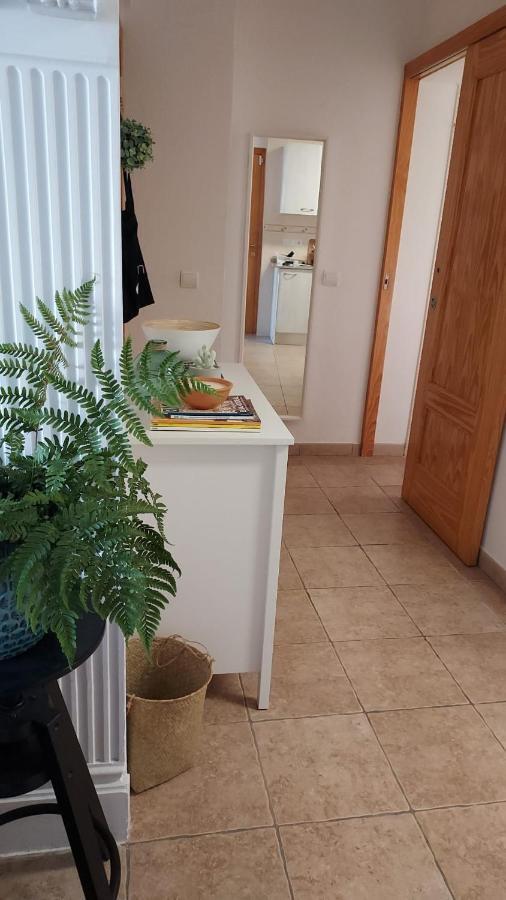 Apartament Ampolla Port L'Ampolla Dış mekan fotoğraf